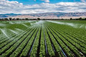 services-02 drip irrigation field